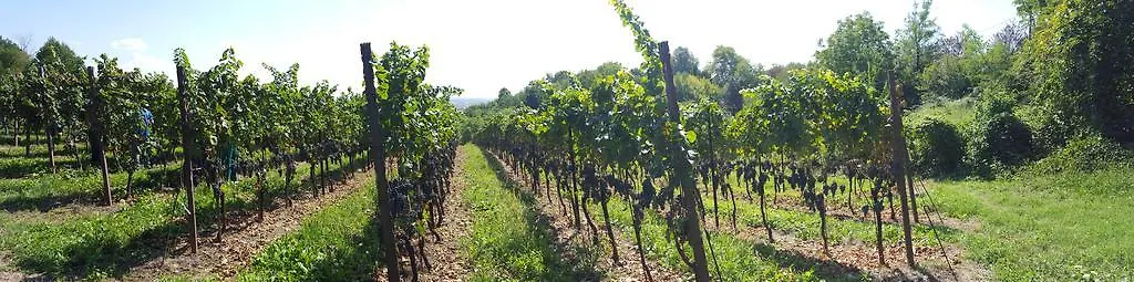 Vakantieboerderij Agriturismo Marco Bergamo Italië
