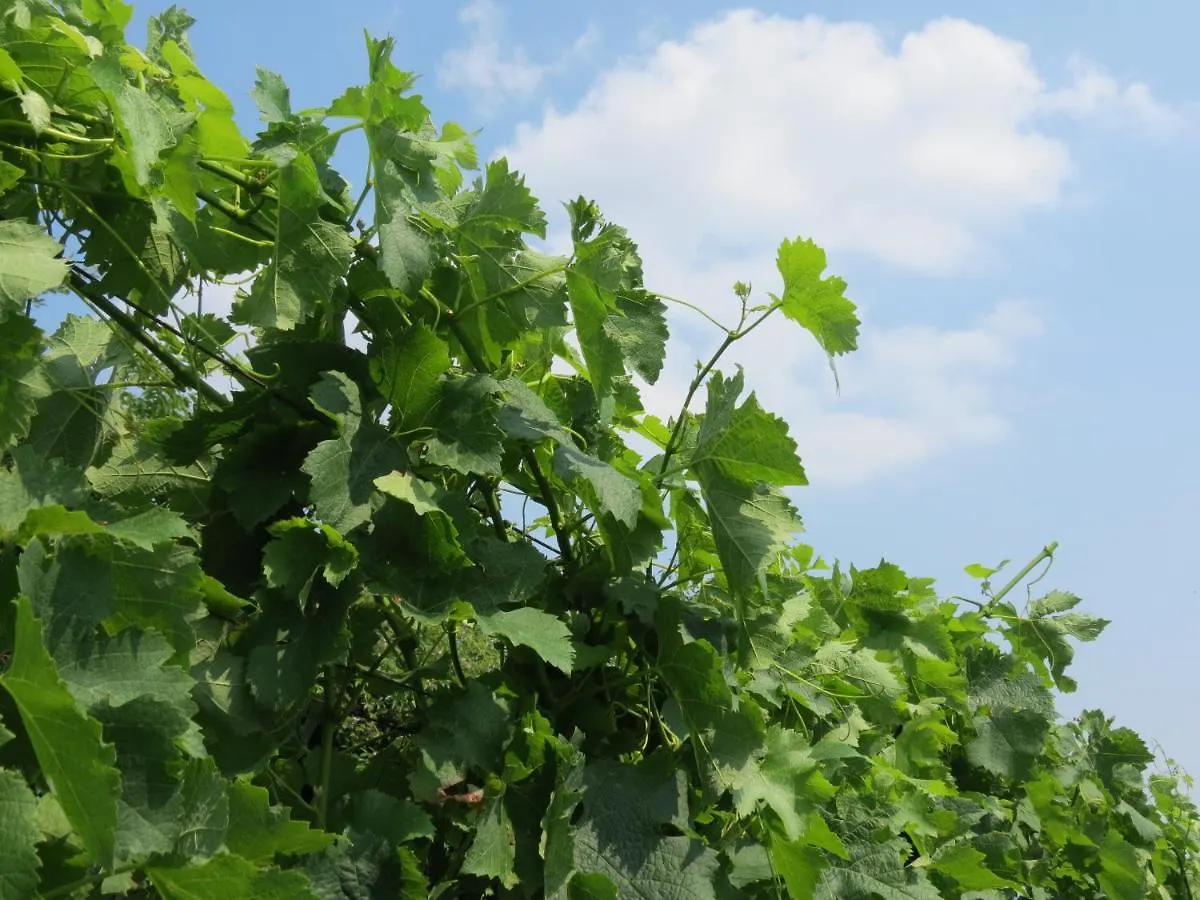 Agriturismo Marco Bergamo 0*,