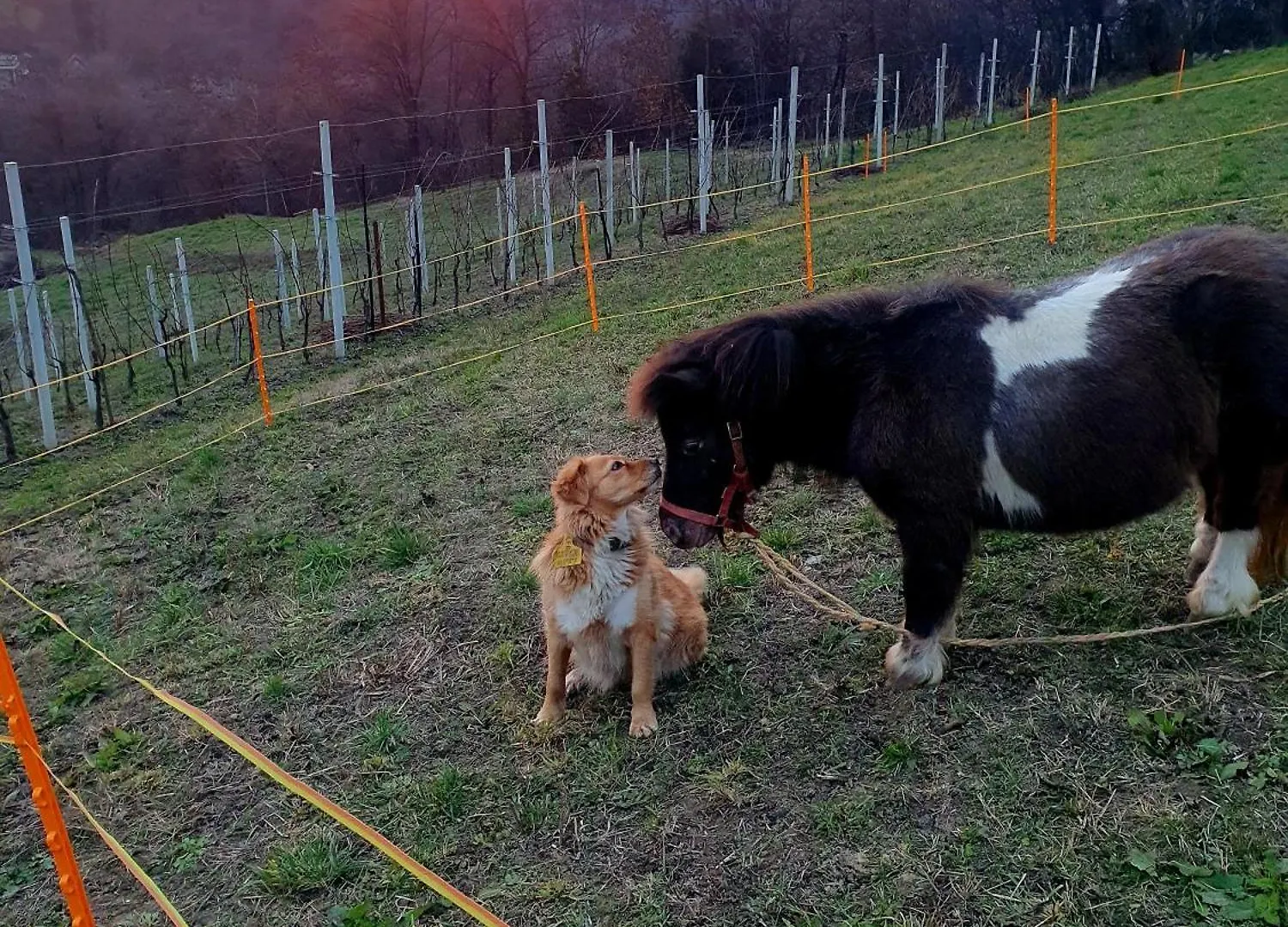 Agriturismo Marco Bergamo Farm stay